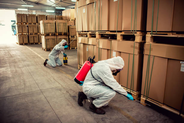 Best Best Pest Control Companies  in Fowler, CA