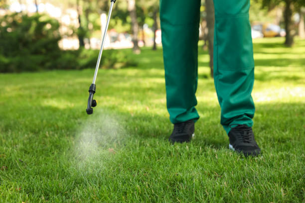 Best Affordable Pest Control Services  in Fowler, CA