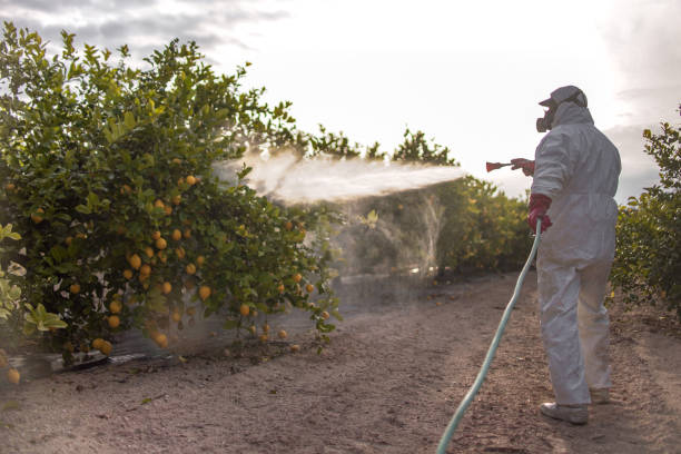 Best Pest Control Near Me  in Fowler, CA