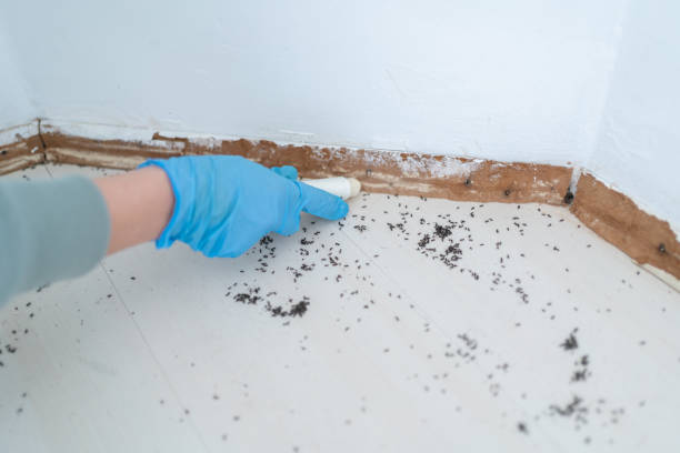 Best Wildlife Control Services  in Fowler, CA