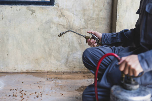 Best Pest Removal Services  in Fowler, CA