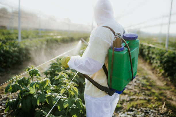 Best Exterminator Services  in Fowler, CA
